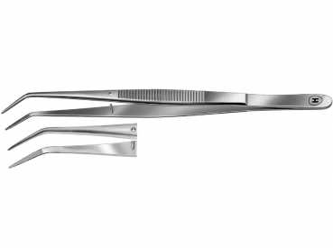 Tweezers, College, 150 mm fine points, serrated, angled